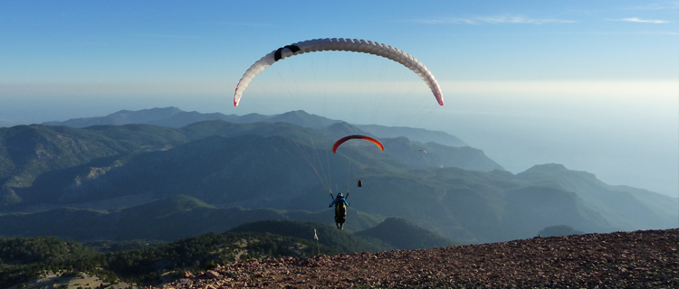 Professionelles Guiding vor Ort