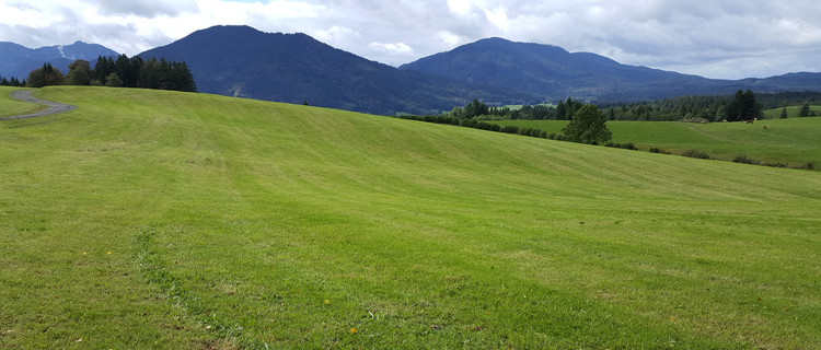 Übungshang Baurer Wiese